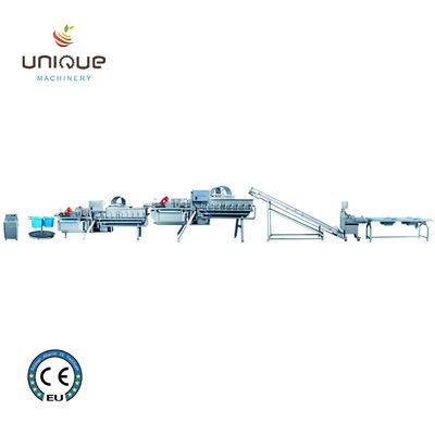 과일과 채소 채소 샐러드 세척 라인 5000 KG 처리 효율