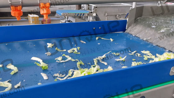 샐러드 잎 채소 가공 라인