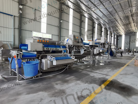 샐러드 가공 가 쉬운 채소 세탁기 아기 에스파나치 라투스 컵대