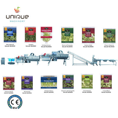 상업적 사용 미얀마의 티 잎 가공을 위한 그린 티 세척 라인