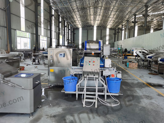 샐러드 가공 가 쉬운 채소 세탁기 아기 에스파나치 라투스 컵대