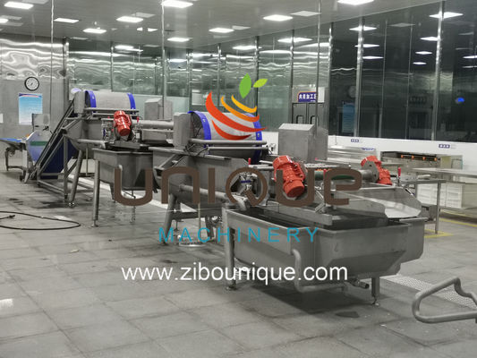 상업적 사용 미얀마의 티 잎 가공을 위한 그린 티 세척 라인