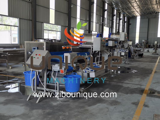 상업적 사용 미얀마의 티 잎 가공을 위한 그린 티 세척 라인