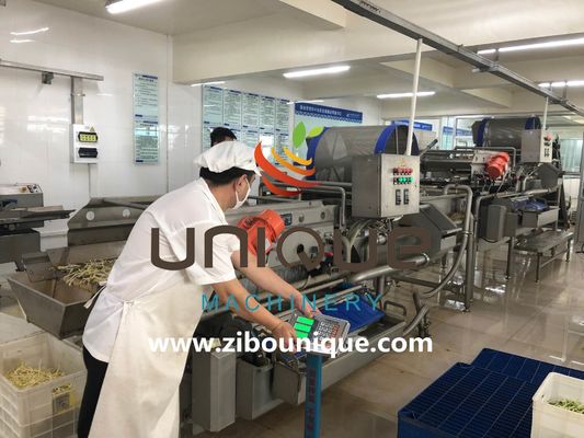 상업적 사용 미얀마의 티 잎 가공을 위한 그린 티 세척 라인