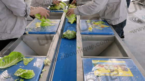 2021 스타일 채소 과일 헬릭스 세탁 처리 라인 상업용 애플리케이션