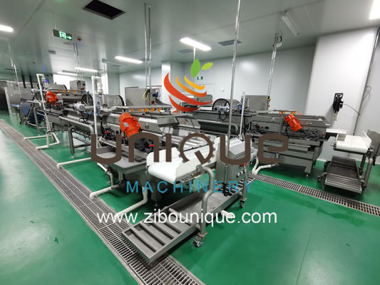 과일과 채소 채소 샐러드 세척 라인 5000 KG 처리 효율