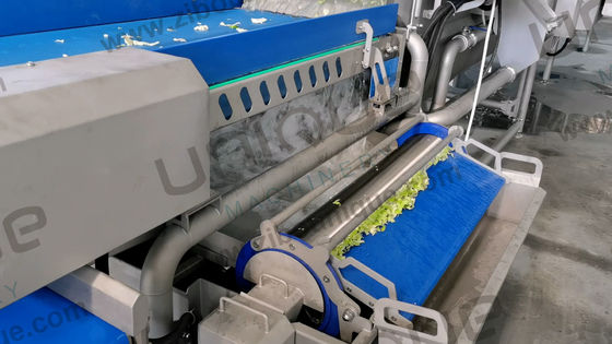 채소 세척기 2200 KG 잎자루 깎기 및 상업용 과일 샐러드