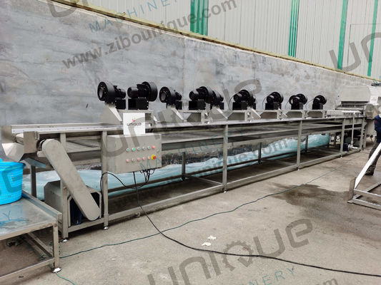 220v/ 380v 자동 날짜 손바닥 분류 세탁 및 건조 처리 기계