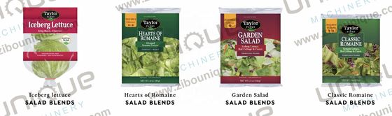 2000kg/h 용량 채소와 과일을 젖어 세탁기