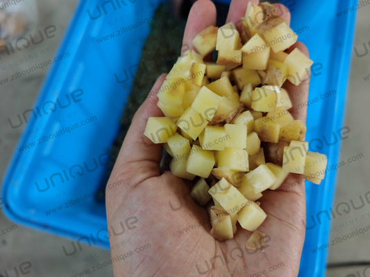 년 감자 썰기 기계 사용자 지정 전압의 산업 채소 절단 기계