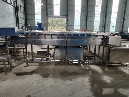 450kg 녹색 양파 류 고압 분사 세탁 청소 기계 저렴한 가격에