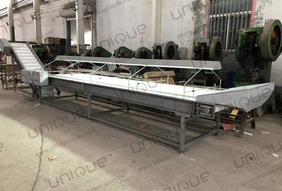 355 KG 용량 날짜 채소 분류 기계에 대한 검사 분류 컨베이어