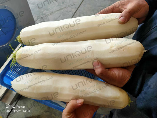 킴치 다이콘 가공 필요를위한 강력한 스테인리스 스틸 304 몰리 펠러 기계