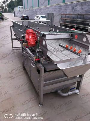 높은 용량 2000kg/h 채소 절단 샐러드 샐러드 세탁 처리 라인 기계