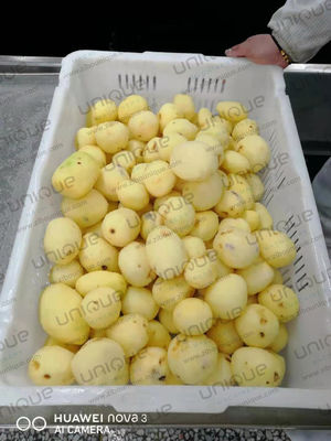 2022 년 소규모 기업에서 감자를 위한 자동 세탁 및 껍질 벗기 기계