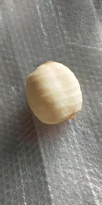 500kg 완전 자동 산업용 과일 사과梨 키위 과일 껍질 벗기 및 껍질 벗기 기계 2022년