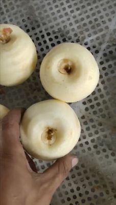 과일 껍질 벗기 기능 상업용 전기 애플 껍질 벗기 Corer Slicer 2500*1000*1500 mm