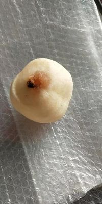 500kg 완전 자동 산업용 과일 사과梨 키위 과일 껍질 벗기 및 껍질 벗기 기계 2022년