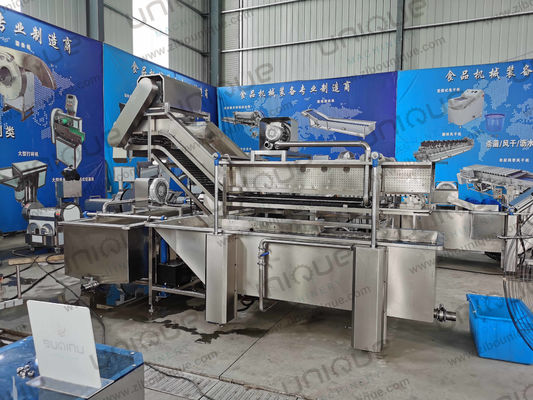 850 KG 용량 제조 공장 생산을위한 잎 채소 거품 세척 라인