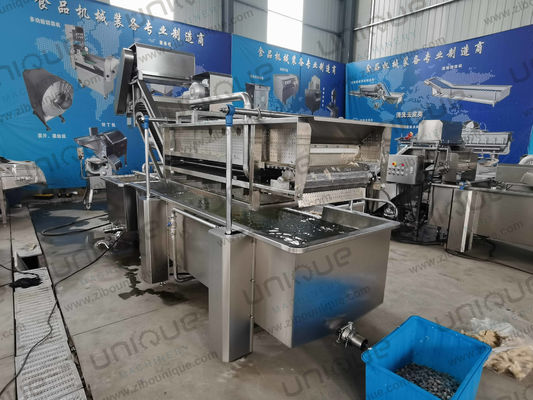 850 KG 용량 제조 공장 생산을위한 잎 채소 거품 세척 라인