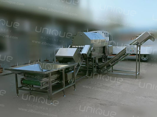 인더스트리얼에 사용되는 뿌리 채소 및 스테인리스 스틸 304용 양파 껍질 껍질 껍질 벗기기 3000 kg/h