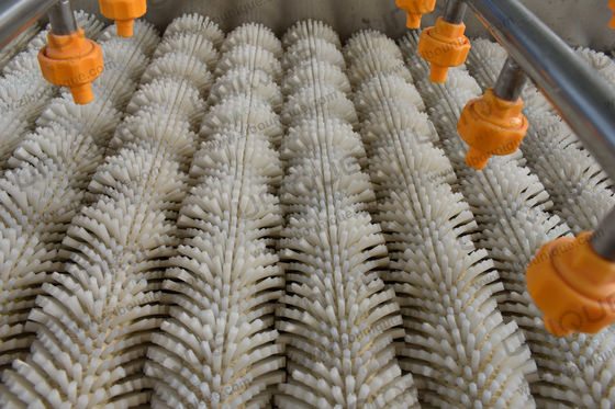 2.25 kw 오이스터 채소 브러쉬 세척기 야름과 말랑가 세척 대용량