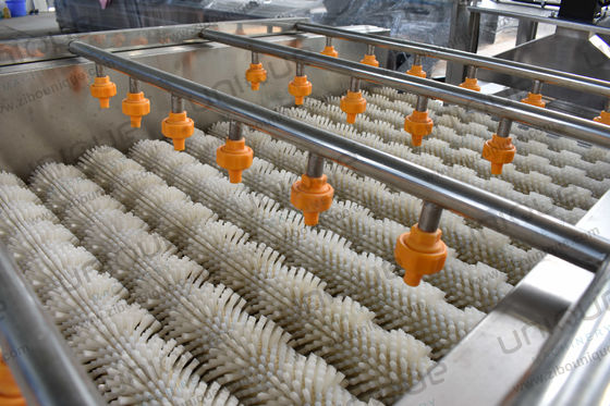 2.25 kw 오이스터 채소 브러쉬 세척기 야름과 말랑가 세척 대용량