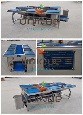 스테인레스 스틸 채소 분류 테이블 및 컨베이어 채소 준비 테이블 0.74 kW
