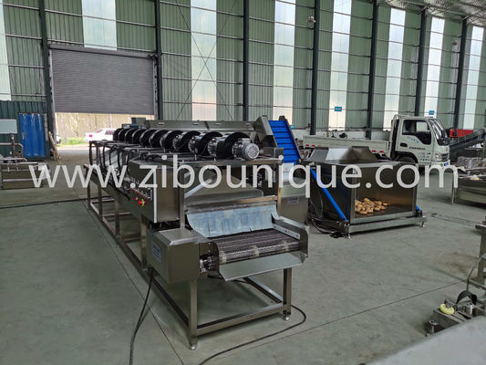 2023 과채와 채소를 건조하기 위한 뜨거운 공기 바람 건조 기계