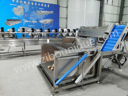 뿌리 채소 와 그 밖 의 식물 들 을 번거로움 이 없는 상태 에서 배하 하는 수압 튀기 기계