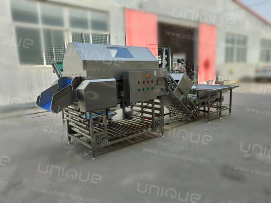 2000kg/h 대량 생산을 위한 고압 공기 양파 껍질 처리 라인