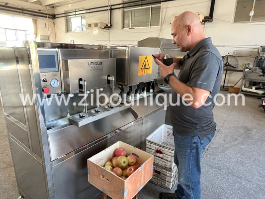 비디오 기술 지원 304 스테인리스 스틸 750 kg/h Pear Peeler 기계