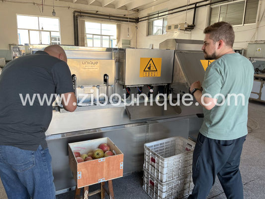 비디오 기술 지원 304 스테인리스 스틸 750 kg/h Pear Peeler 기계
