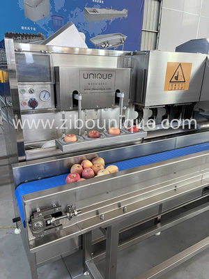 맞춤형 전압 304 스테인리스 스틸 사과 및 페어 껍질 벗기 및 코어 절단 기계