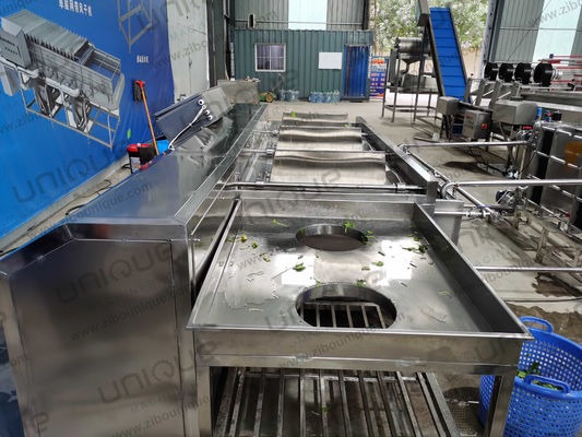 1000kg/h 산업용 토마토 세탁기 옥수수 과일 세탁기 채소 양파 세탁기 청소기
