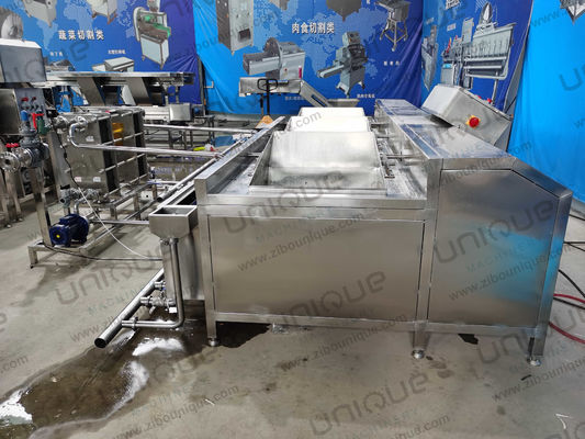 1000kg/h 산업용 토마토 세탁기 옥수수 과일 세탁기 채소 양파 세탁기 청소기