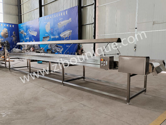 220v/ 380v 스테인리스 스틸 304 견과류 선택 컨베이어 벨트 라진 분류 기계
