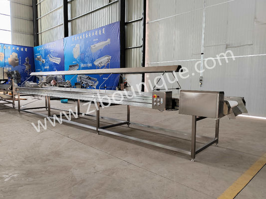 220v/ 380v 스테인리스 스틸 304 견과류 선택 컨베이어 벨트 라진 분류 기계